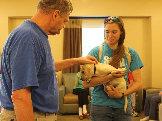 CountryHouse Residence